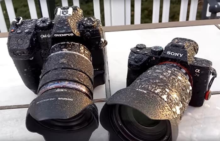 Olympus E-M1X and Sony A7III Freeze Test
