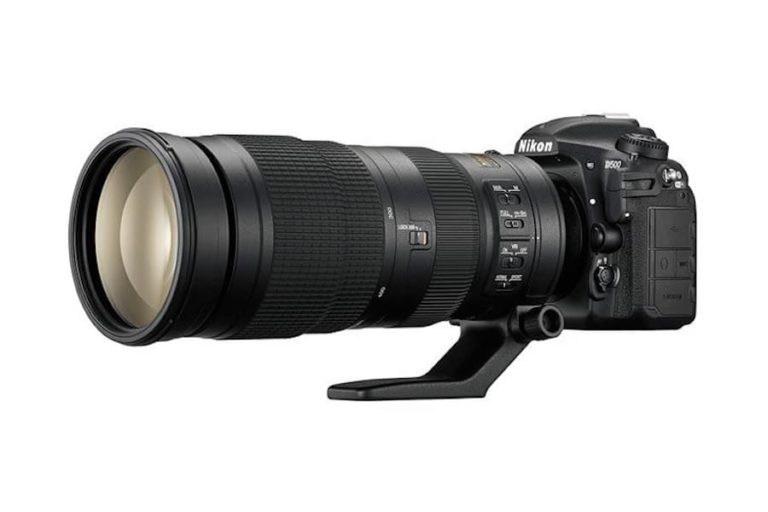 Best Nikon Lenses for Wildlife Photography Best Camera News