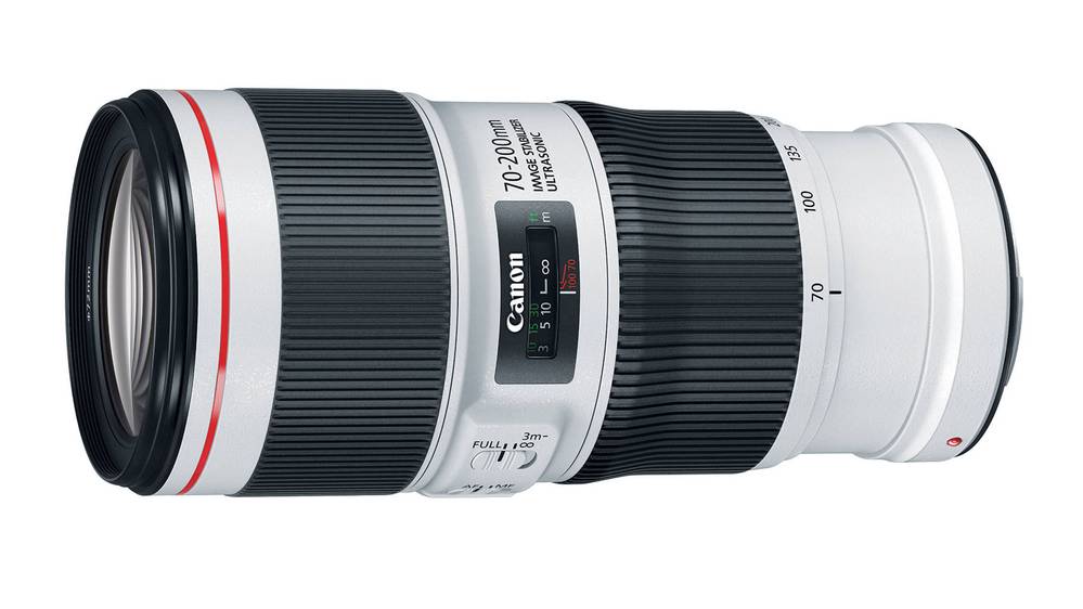 Best Telephoto Lenses for Canon DSLRs