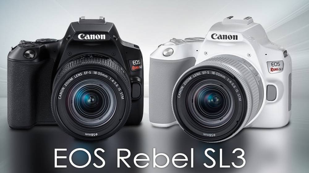 Best Lenses for Canon EOS Rebel SL3