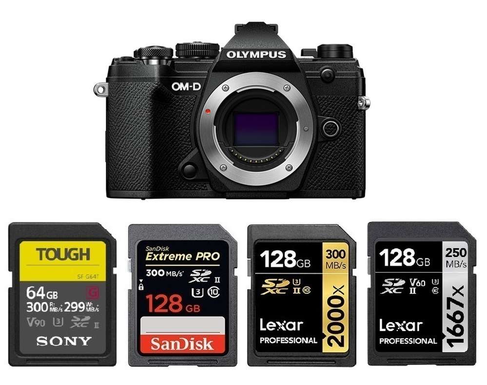 Best Memory Cards for Olympus OM-D E-M5 Mark III