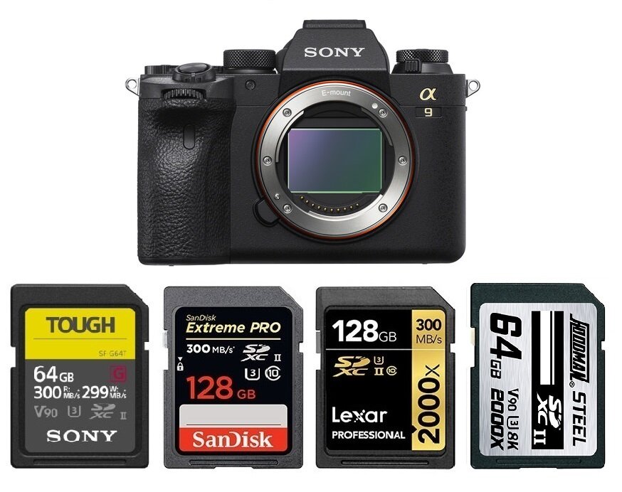 Best Memory Cards for Sony a9 II