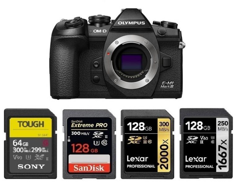 Best Memory Cards for Olympus OMD EM1 Mark III Best Camera News