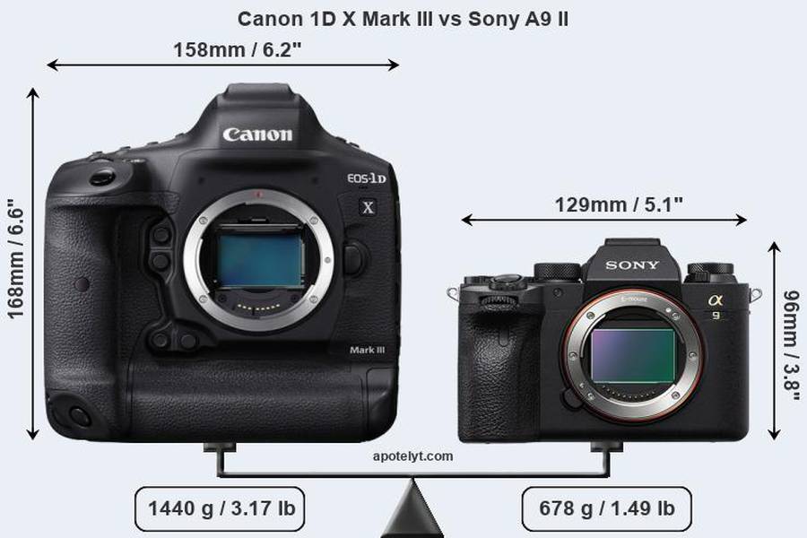 Canon EOS-1D X Mark III vs Sony a9 II – Which One To Buy ?
