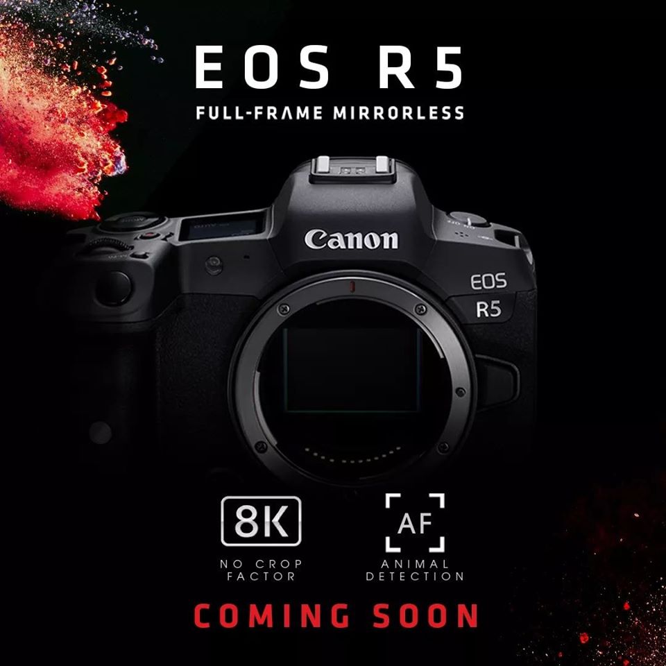 Confirmed Canon EOS R5 Video Specs: 8K/30, 4K/120 with Raw, 10-bit H.265, Full DPAF