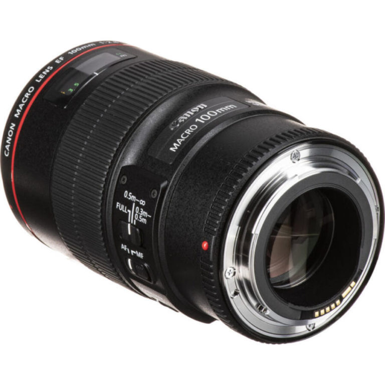 Canon RF 100mm f/2.8L IS USM Macro Lens Patent Best Camera News