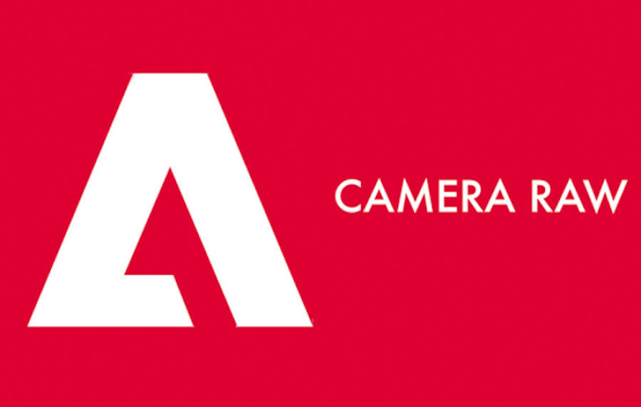 Nikon ViewNX-i vs. Adobe Camera Raw Comparison