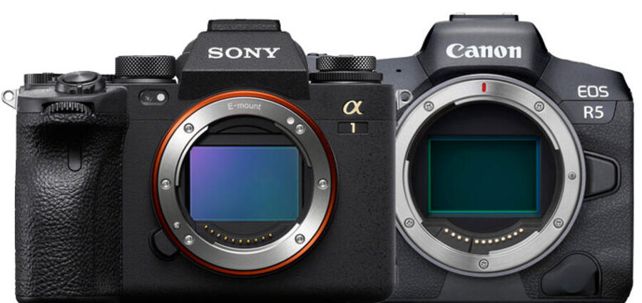 8K Video Comparison Between Sony Alpha 1 and Canon EOS R5