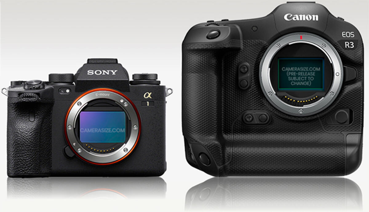 Sony A1 vs Canon EOS R3 size comparison