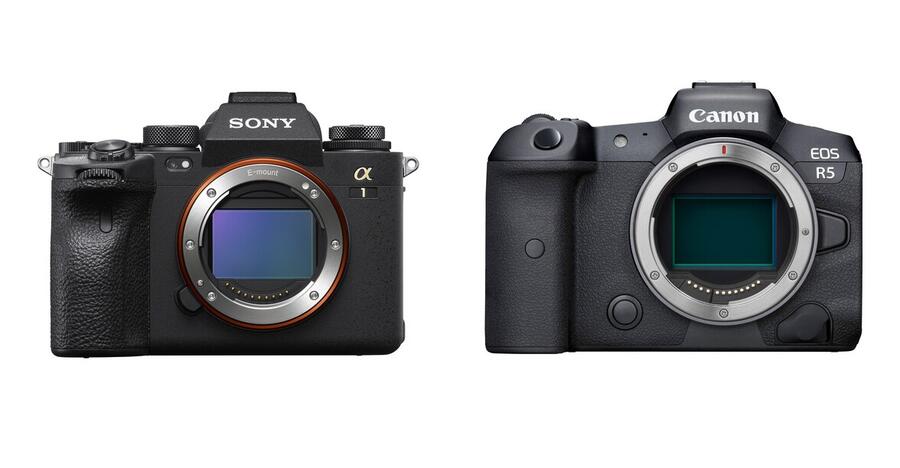 IBIS Comparison: Canon EOS R5 vs Sony a1