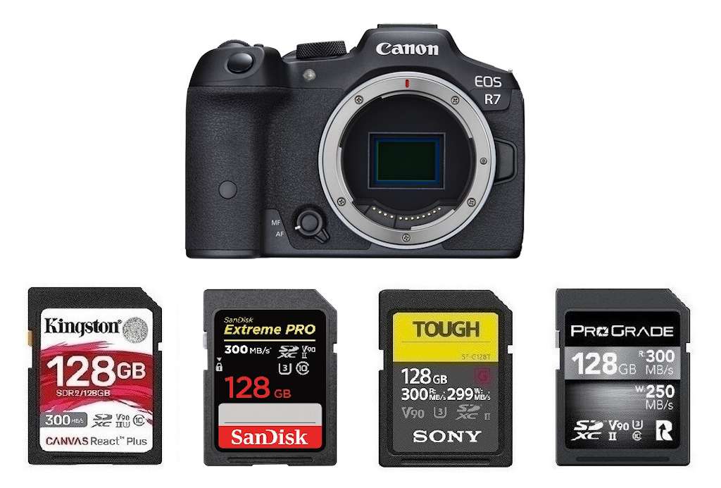 Best Memory Cards for Canon EOS R7